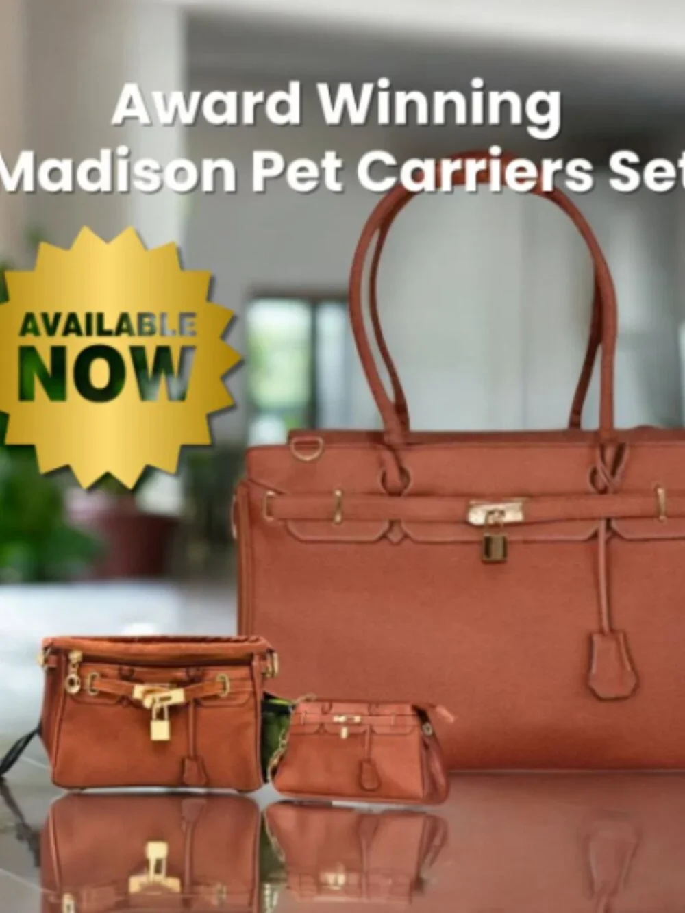 Luxury Airline-Approved Pet Carrier – Like New – Designer Handbag Style